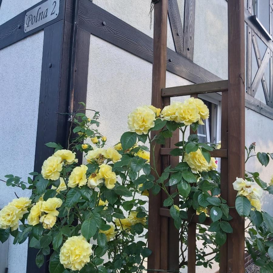 Nadmorskie Apartamenty Ustka Esterno foto
