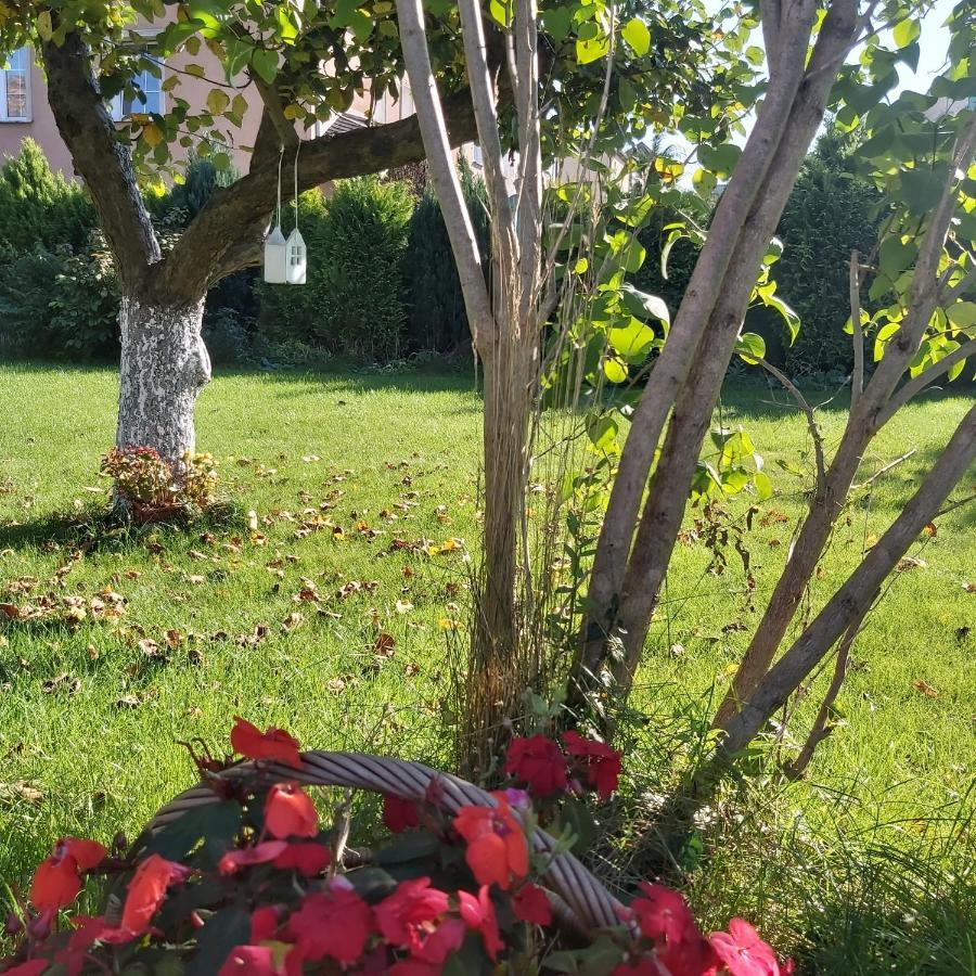 Nadmorskie Apartamenty Ustka Esterno foto