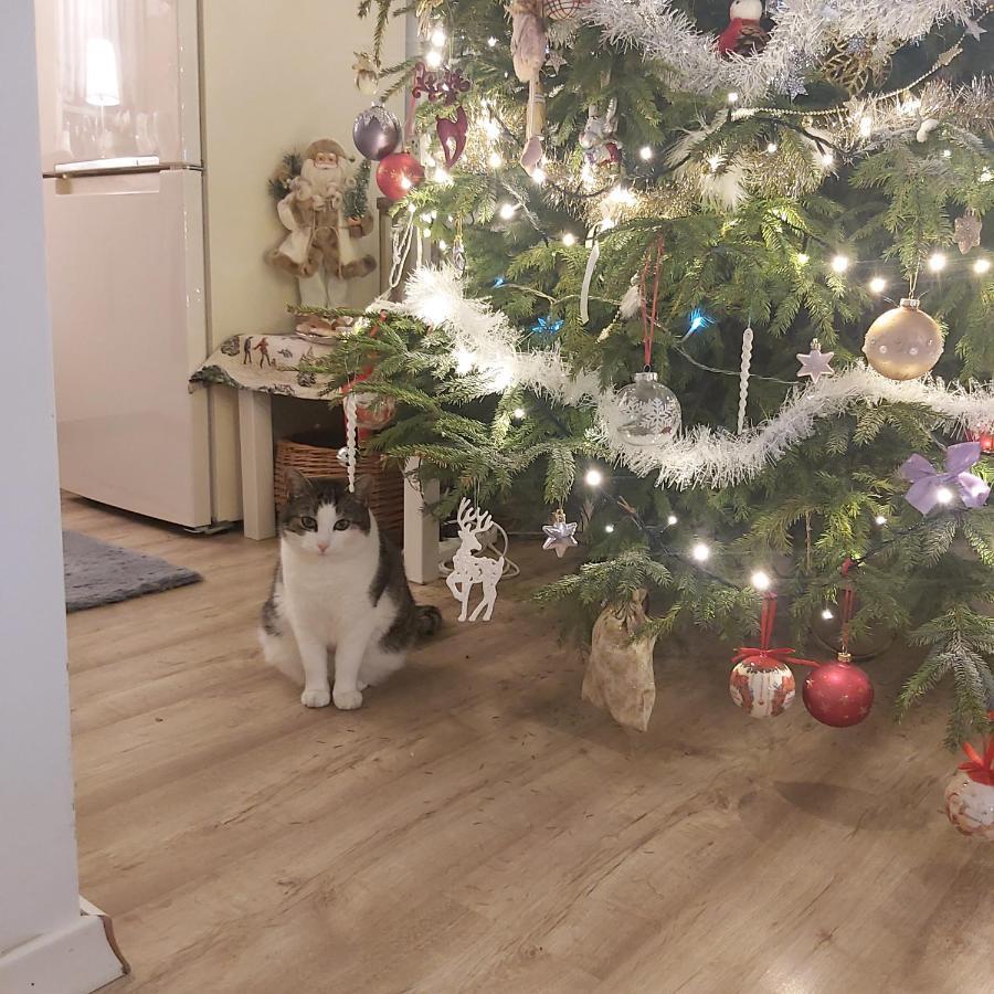 Nadmorskie Apartamenty Ustka Esterno foto